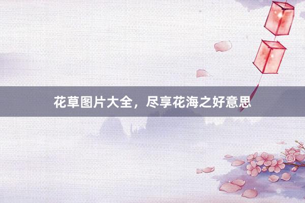 花草图片大全,尽享花海之好意思