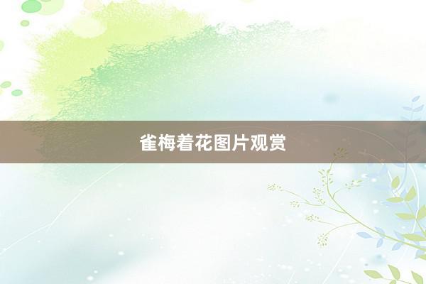 雀梅着花图片观赏