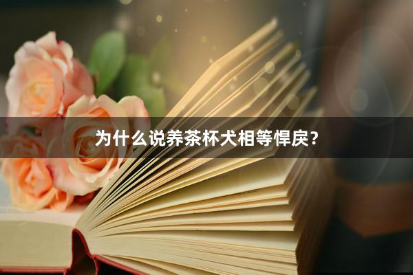 为什么说养茶杯犬相等悍戾?