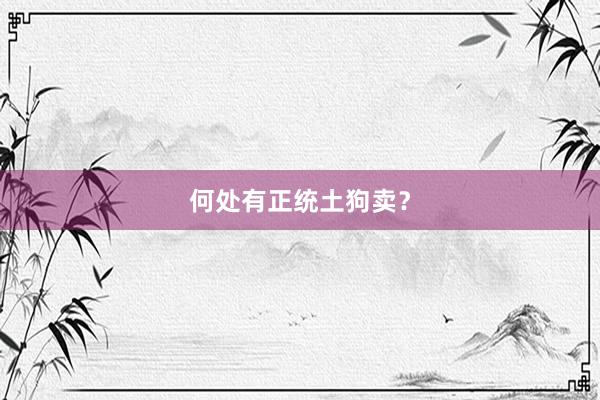 何处有正统土狗卖？