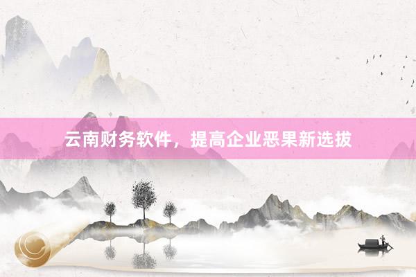 云南财务软件，提高企业恶果新选拔